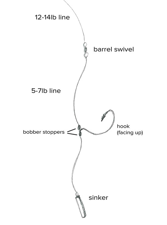 Drop shot rig diagram