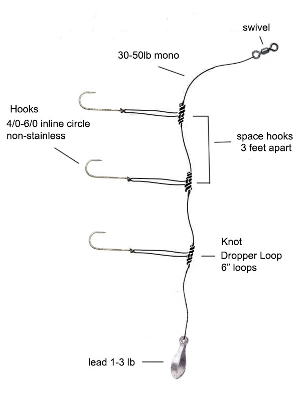 Dropper loop rig diagram, swivel, 30-50lb mono, three inline circle hooks on 6-inch dropper loops, lead sinker at bottom