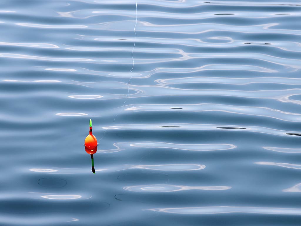 Float fishing bobber on the water