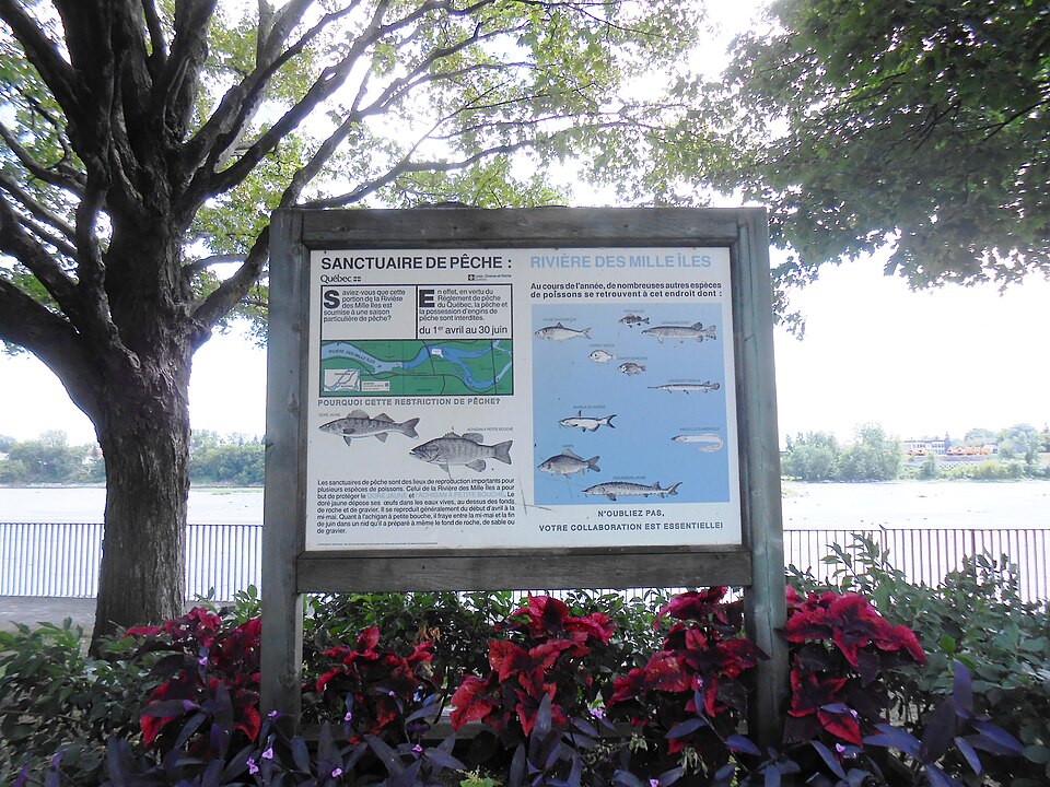 Fishing sanctuary on Rivière des Mille-Îles, Terrebonne